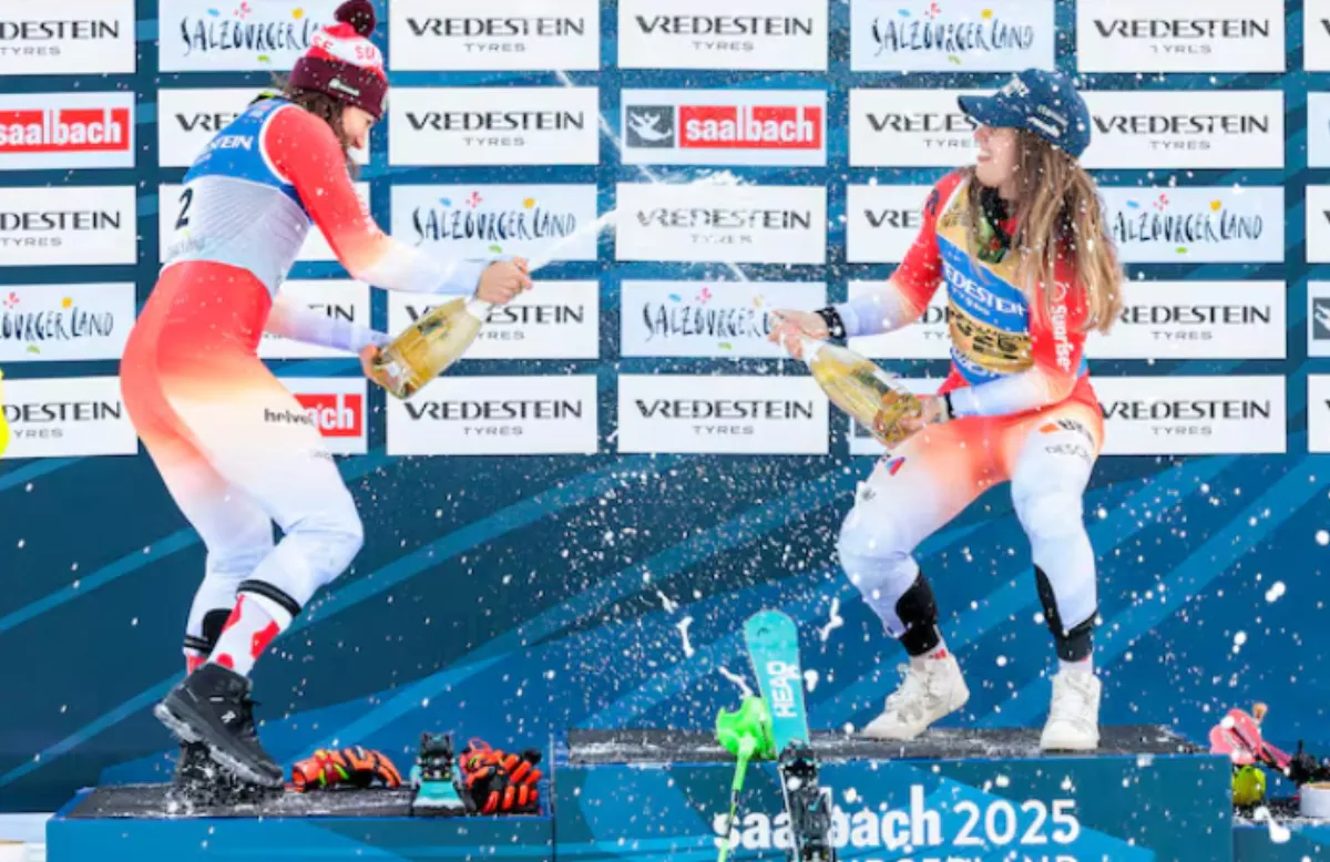 Кто выиграл чемпионат мира: часть 1