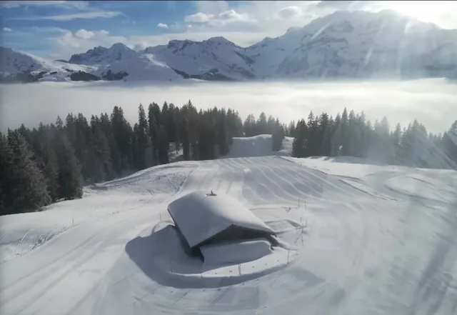 Adelboden/Lenk - Chuenisbärgli/Silleren/Hahnenmoos/Metsch