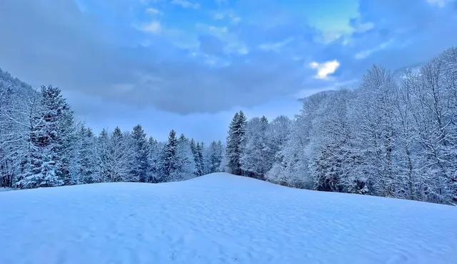 A wonderfully beautiful winter setting with a fresh snow cover in the Swiss Alps and above the Lake Walen, Amden - Canton of St. Gallen, Switzerland