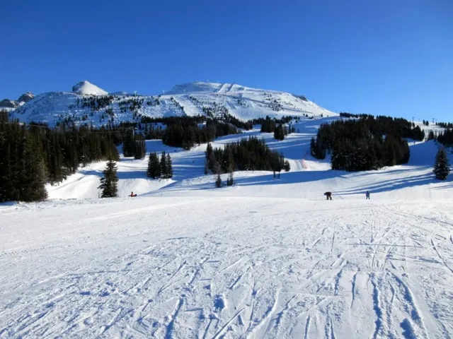 Banff Sunshine