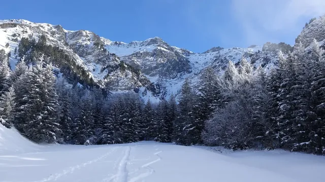 Col d'Ornon