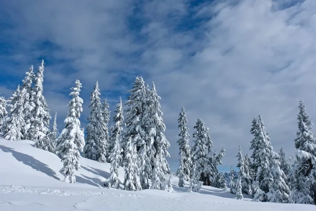 Cypress Mountain