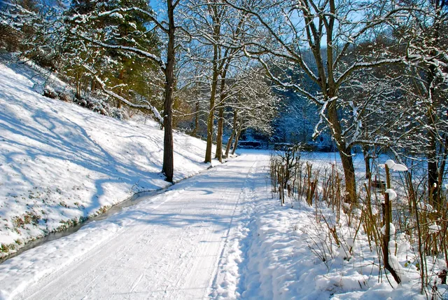 Winter Landscape Wiriehorn
