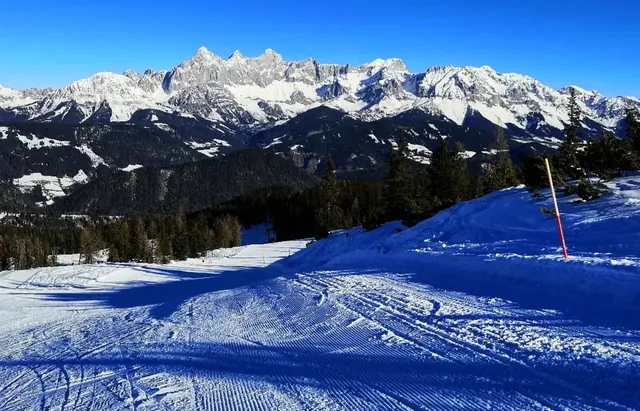 Fageralm - Forstau