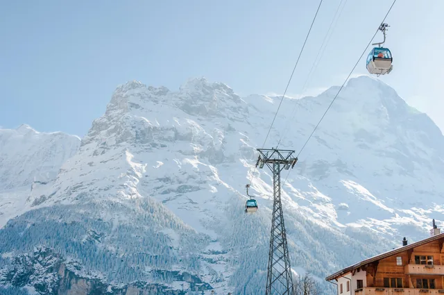 First - Grindelwald
