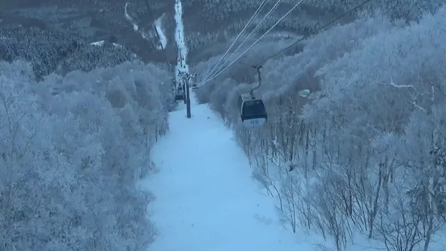 Hakodate Nanae