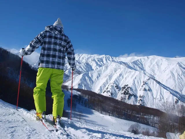Hakuba 47/Goryu