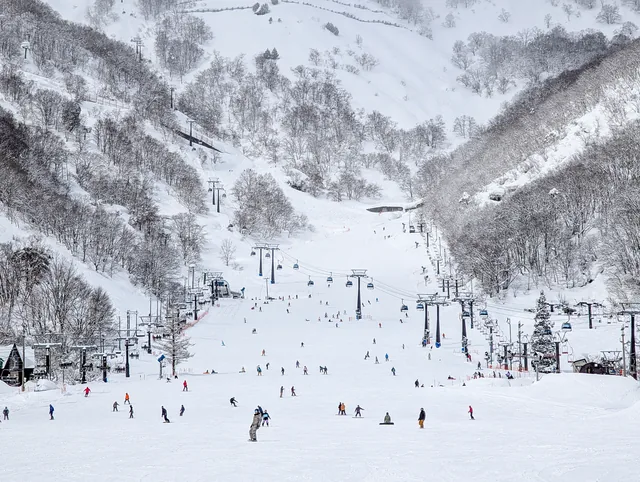 Hakuba 47/Goryu