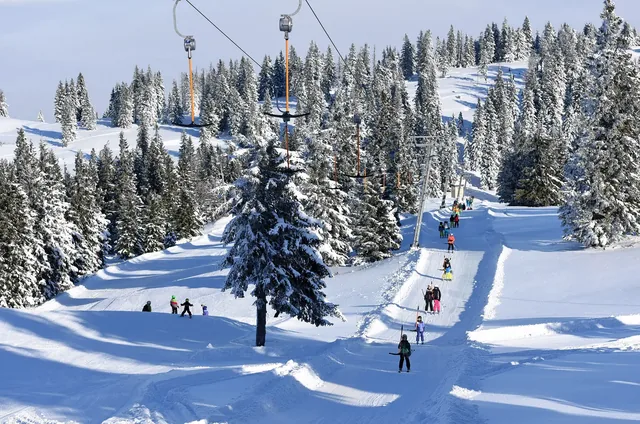 Winter sports in Austria, Kasberg ski area (Grünau, Almtal, Salzkammergut, Gmunden district, Upper Austria, Austria)