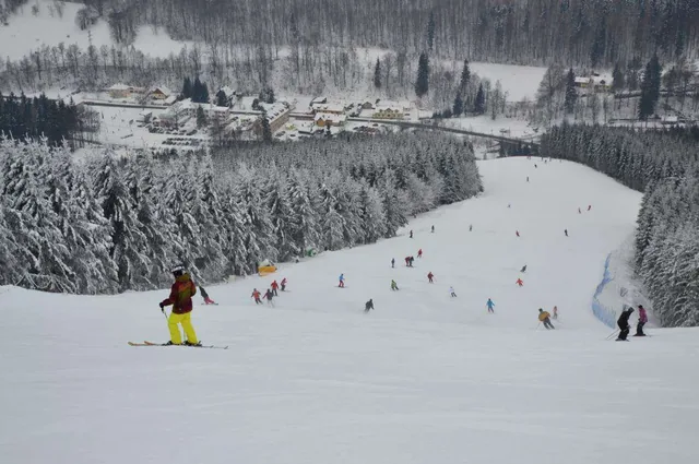 Kouty nad Desnou