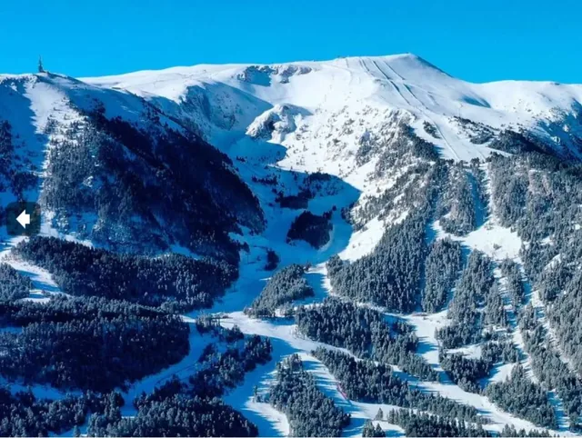 Masella