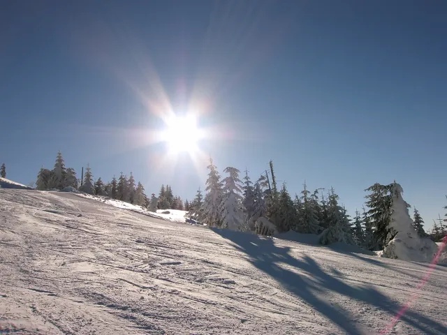 Alpine mountain, Lackenhof, Austria. Empty ski slope with snow covered trees against the sun, blue clear sky