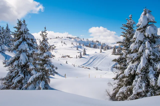 Les Houches/Saint-Gervais - Prarion/Bellevue (Chamonix)