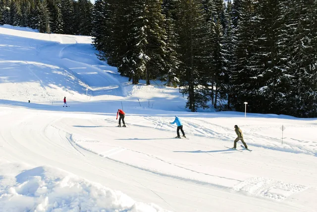 Les Portes du Soleil - Morzine/Avoriaz/Les Gets/Châtel/Morgins/Champéry