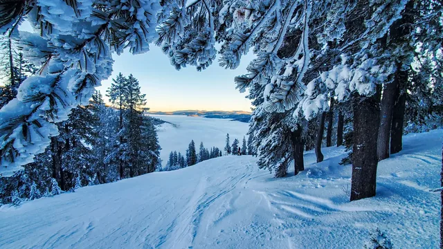Lookout pass Ski Area