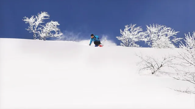 Lotte Arai Resort