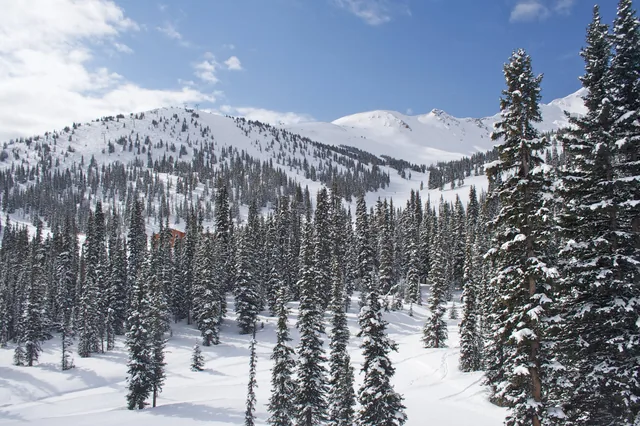 Marmot Basin - Jasper