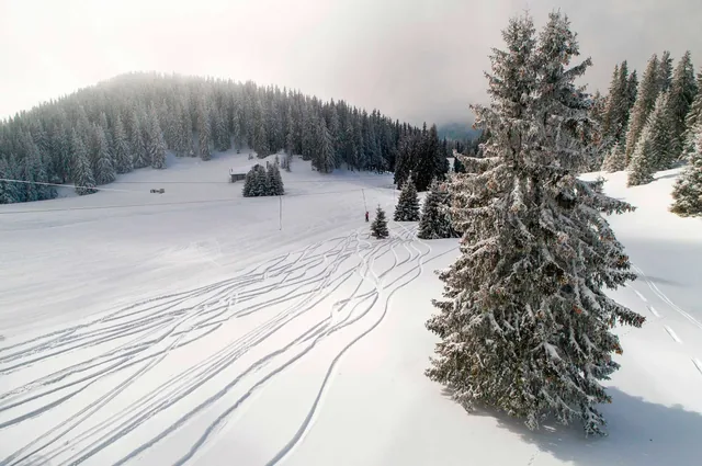 Pamporovo