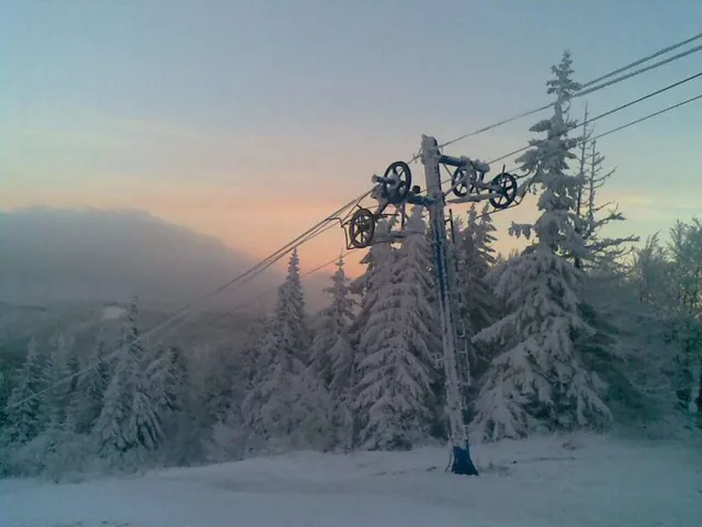 Плешивец