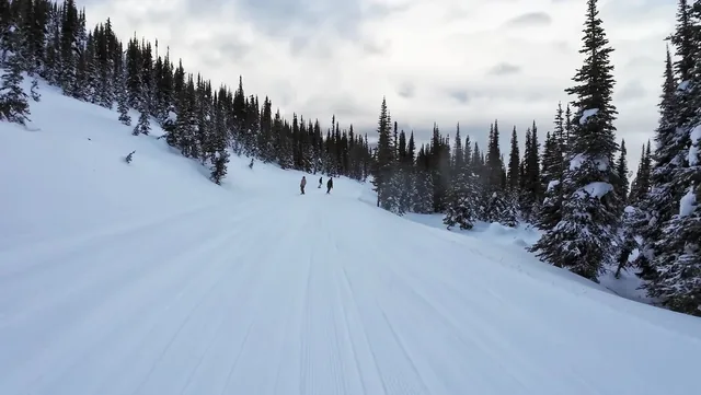 Powder King