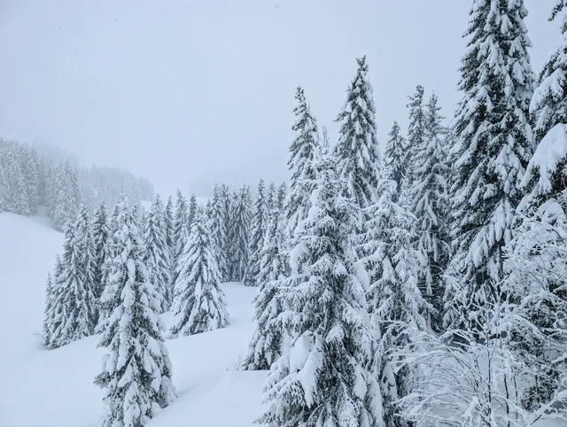 Praz de Lys Sommand Ski Resort Winter Aerial