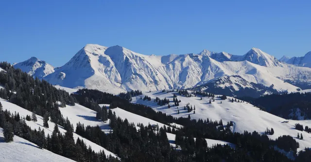 Rinderberg/Saanerslochgrat/Horneggli - Zweisimmen/Saanenmöser/Schönried/St. Stephan