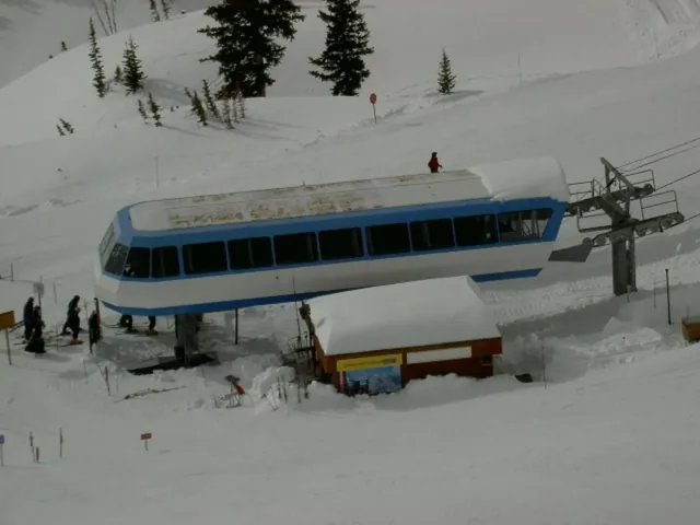 Snowbird