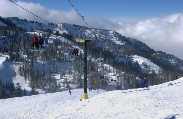 Snowbird