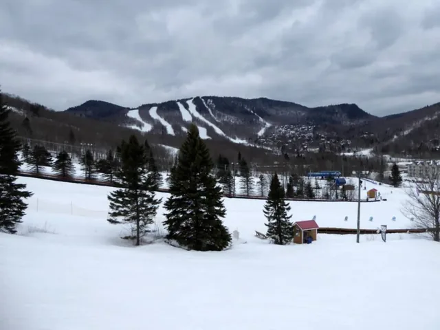 Stoneham