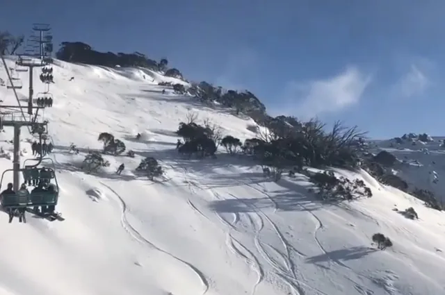 Thredbo