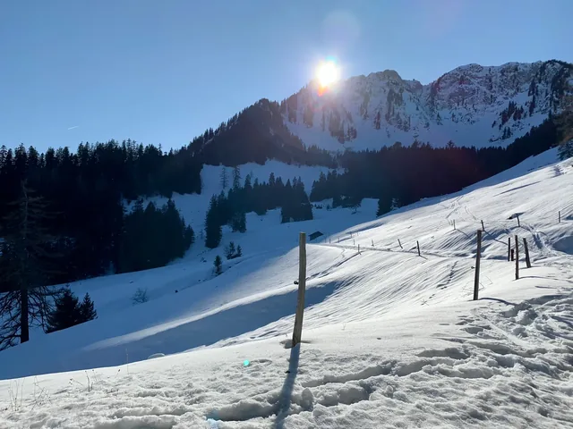 Mountain meadows under the snow, Torgon, Valais, Switzerland