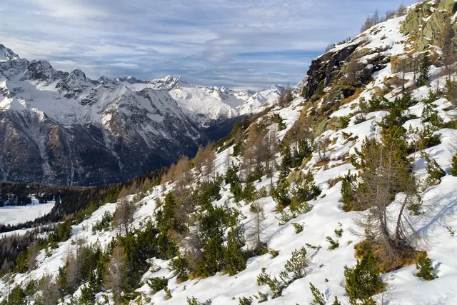Valmalenco - Alpe Palù