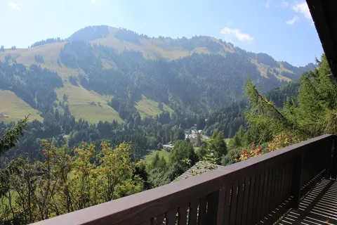 Chalet Antoine 5p