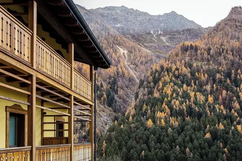 Mirtillo Alpino Casa Vacanze