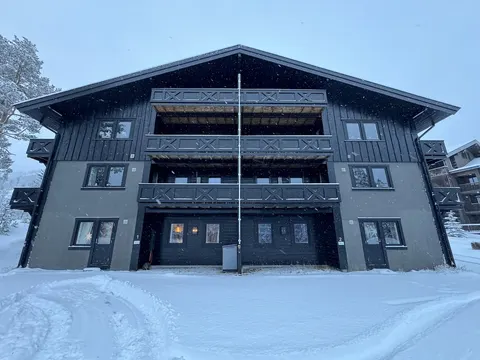 Spacious apartment near Hemsedal ski resort