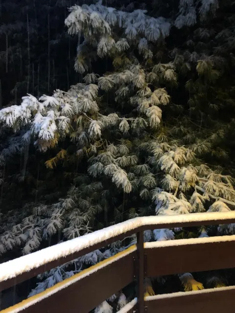 Wood & Fire Chalet