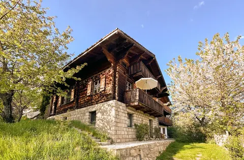 Sunny Chalet with phantastic view + garden + sauna