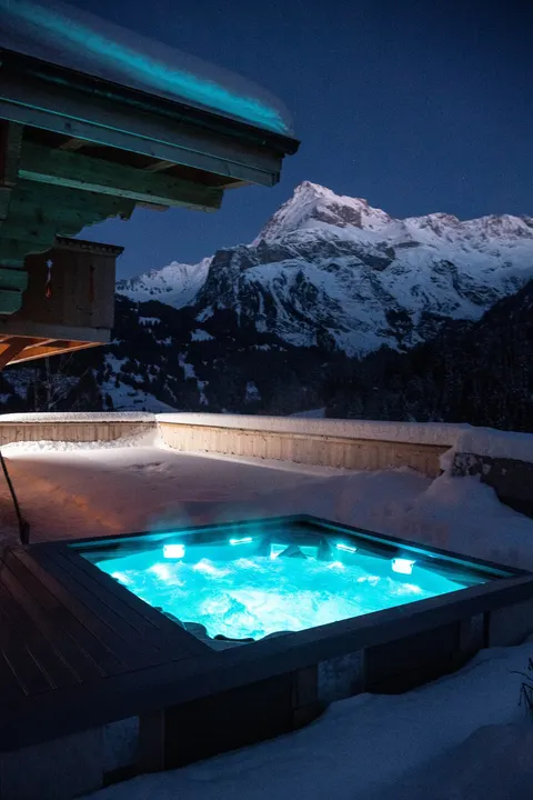 Chalet with cinema and jacuzzi in Gsteig near Gstaad