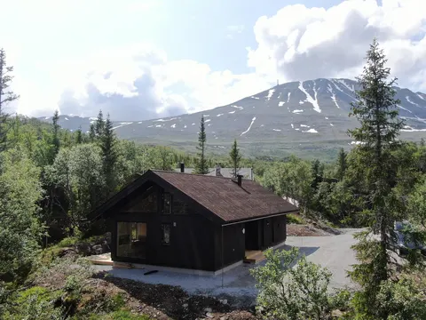 New family cottage Gausta - Ski in/out - 11 beds