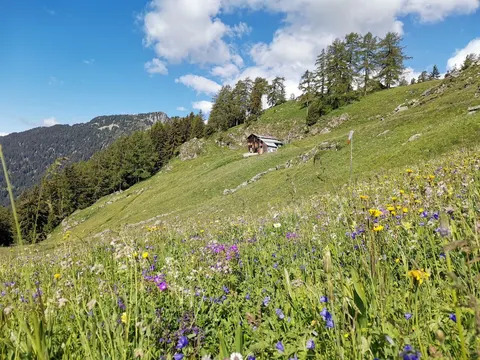 Alpji Hängula, alpine paradise at 1850 m