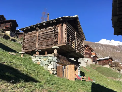 Mayen in Olivier, Val d'Hérens, Valais, Sion, Switzerland