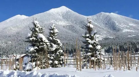 Summer Specials at the Base of Snowbowl