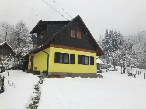 Vacation home Forest Dream near the river Kupa
