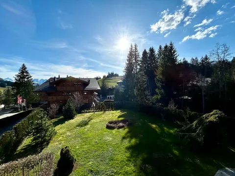 Charming alpine apartment near Gstaad