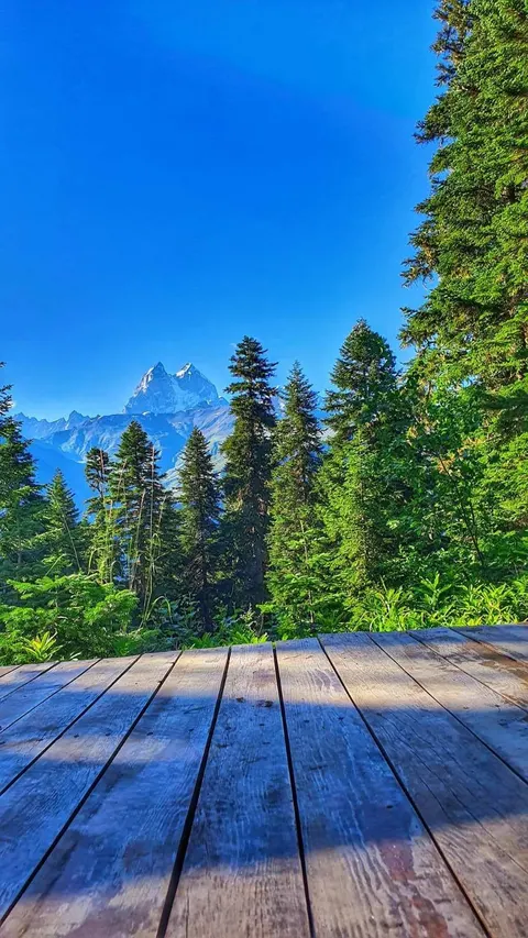 Echoes of the Mountains