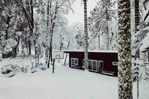 Cabin among Araucarias Corralco
