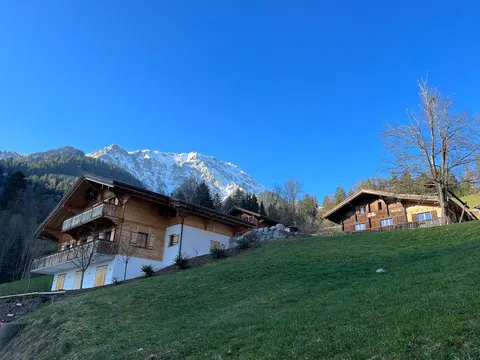 Le Bouquetin Chalet: Alpine Beauty & Tranquility