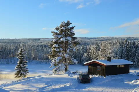 Trysil hyttegrend & camping - Glamping tent with unique view