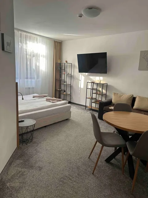 Studio in Hotel Flora Borovets