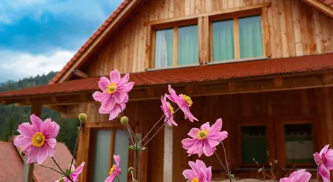 Dolomiti Village